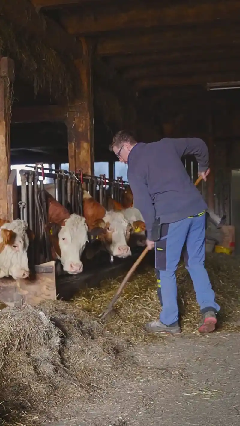 Nicht nur auf der Baustelle gibt es jede Menge zu tun