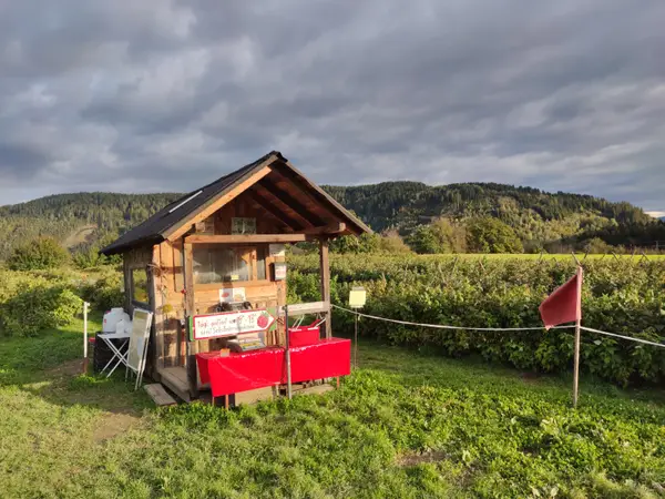 Beerengarten Feldkirchen Eindruck 3