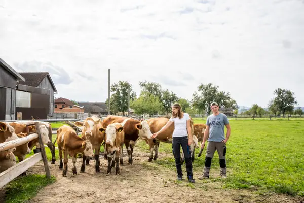 Bio-Landwirtschaft Theuretzbacher Gesbr Eindruck 2