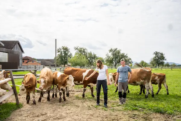 Bio-Landwirtschaft Theuretzbacher Gesbr Eindruck 6