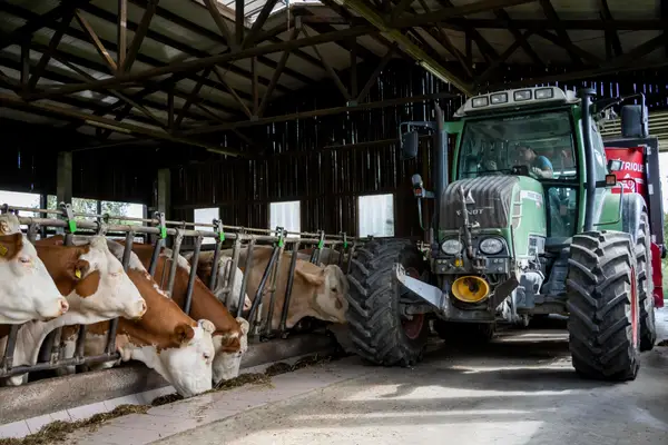 Bio-Landwirtschaft Theuretzbacher Gesbr Eindruck 7