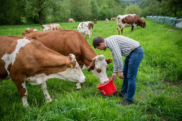 Biohof Losbach Eindruck 5