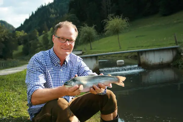 Decleva Fisch Eindruck 2
