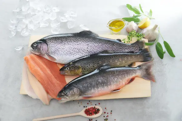 Decleva Fisch Eindruck 4
