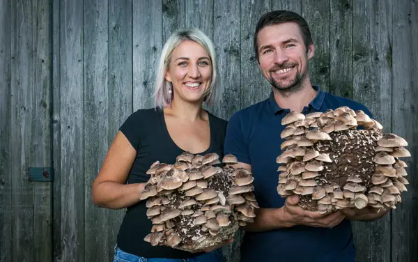 Flachgauer Biopilze - Familie Eibl Eindruck 2