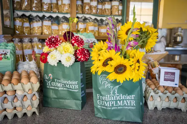 Familie Gumplmayr - Hanl zu Grub Eindruck 2
