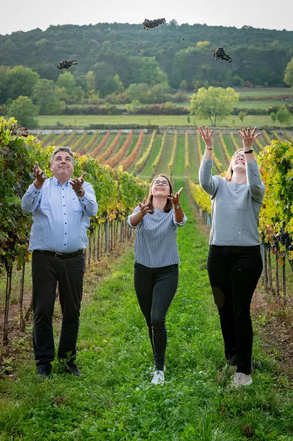Weingut Schwertführer 47er Eindruck 1