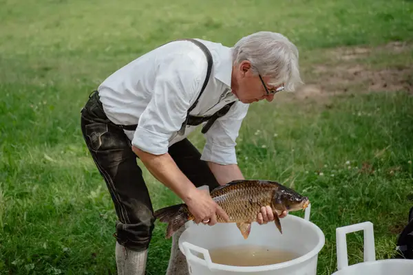 Hofbauer`s Karpfenkaviar Eindruck 3