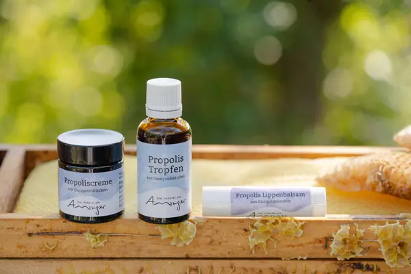 Bio-Imkerei am Anninger Eindruck 1