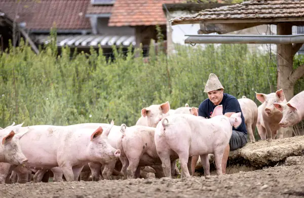 Monschein Bauernspezialitäten Eindruck 2