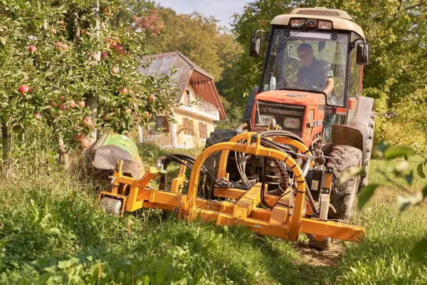 Bio-Obstbau Kirchengast Eindruck 6