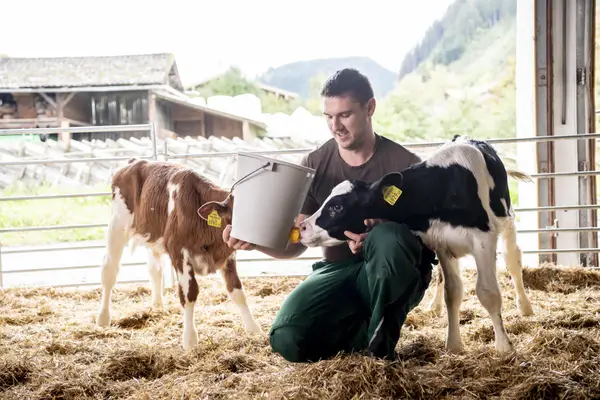 Familie Perwein - Rinderzuchtgemeinschaft Leogang, Mei Muich Eindruck 8