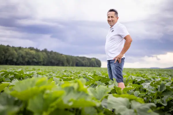 Scheucher Kernöl Eindruck 2