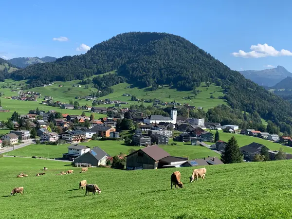 Sennerei Hittisau Eindruck 1