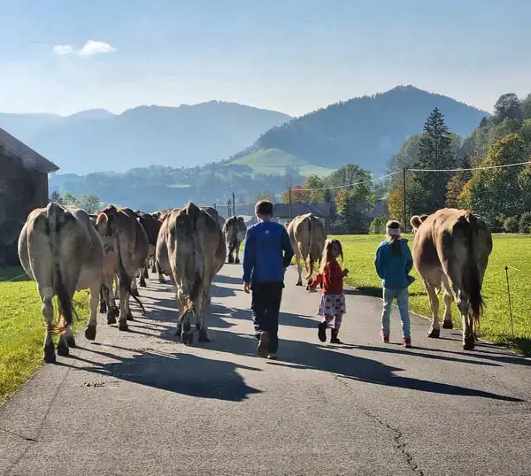 Sennerei Hittisau Eindruck 7
