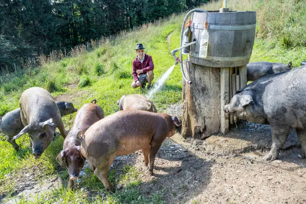 Wein- und Genusswelt Buschenschank Garber Eindruck 3