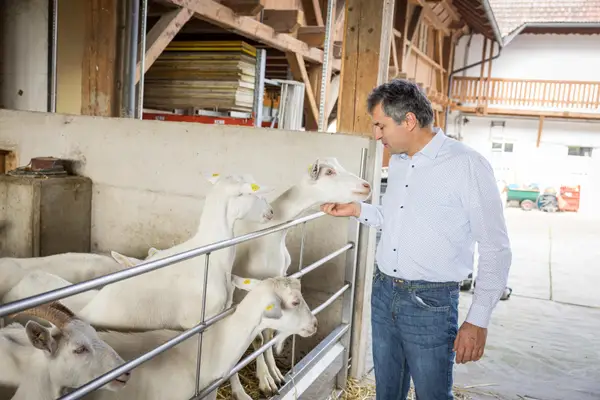 Ziegenhof Leeb Eindruck 3