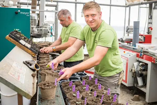 Gartenbau Winklhofer Eindruck 1