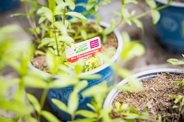 Gartenbau Winklhofer Eindruck 2