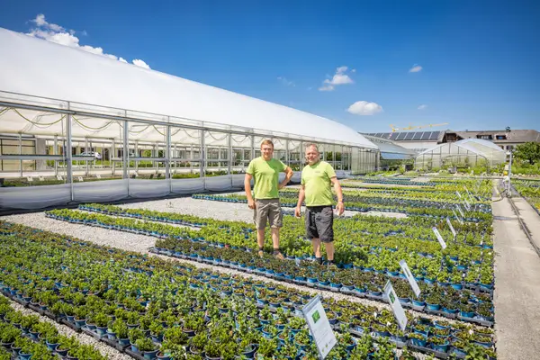 Gartenbau Winklhofer Eindruck 3