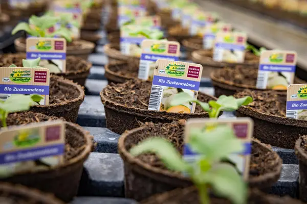 Gartenbau Winklhofer Eindruck 8