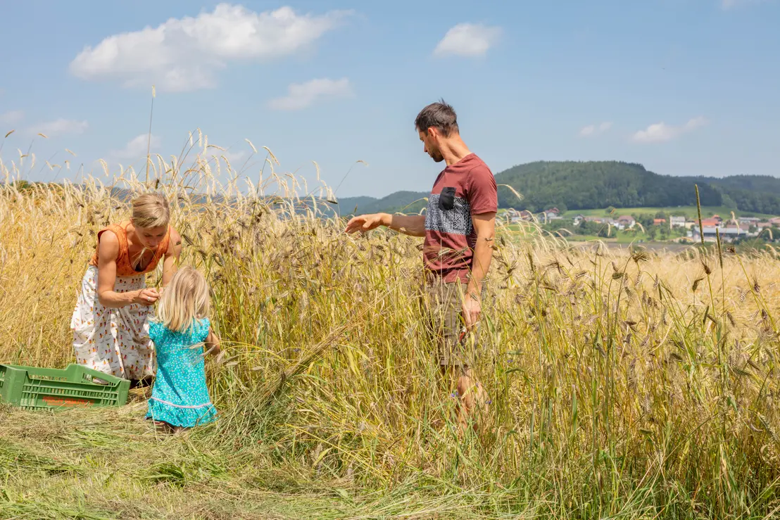 Uralte Biervielfalt, essbare Blütenpracht und Holzofentörtchen – von Oberösterreichern kann man lernen