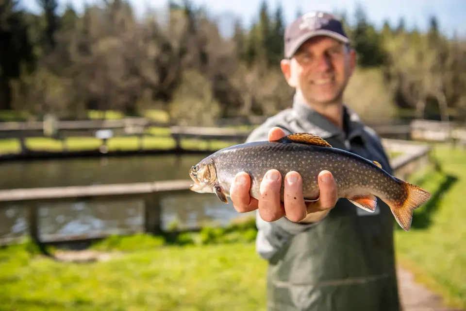 Kovac Heinisch Fisch