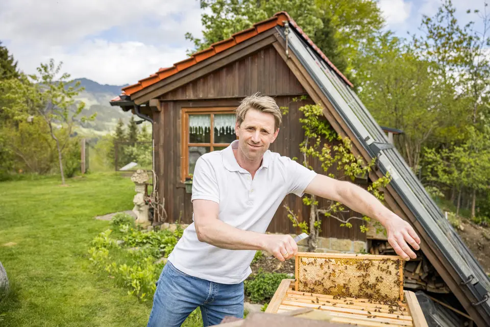 Honigtraum Winkler