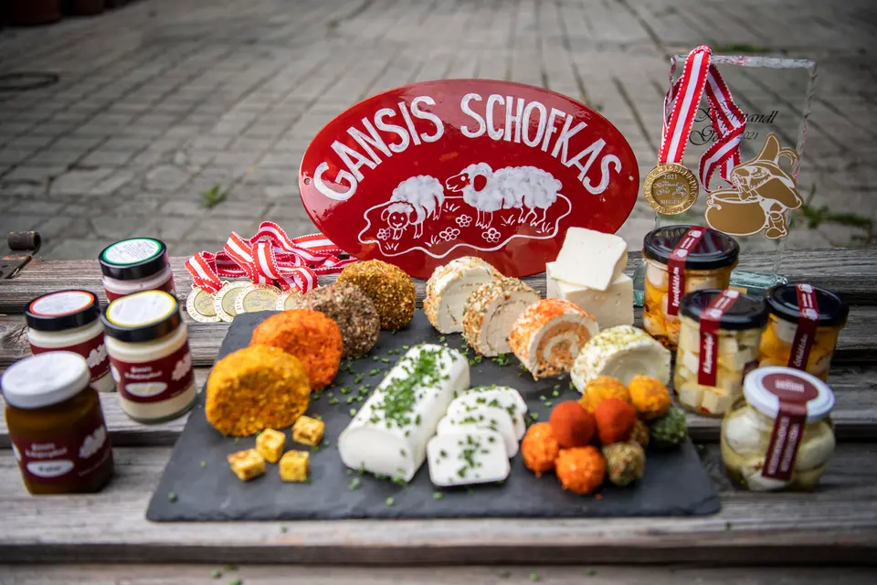 Gansi´s Schofkas