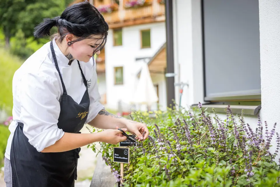 Natur- und Wellnesshotel Höflehner